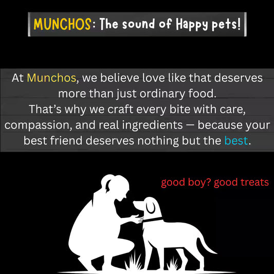 Munchos Chicken Dog Biscuits 6KG - Crunchy Treats