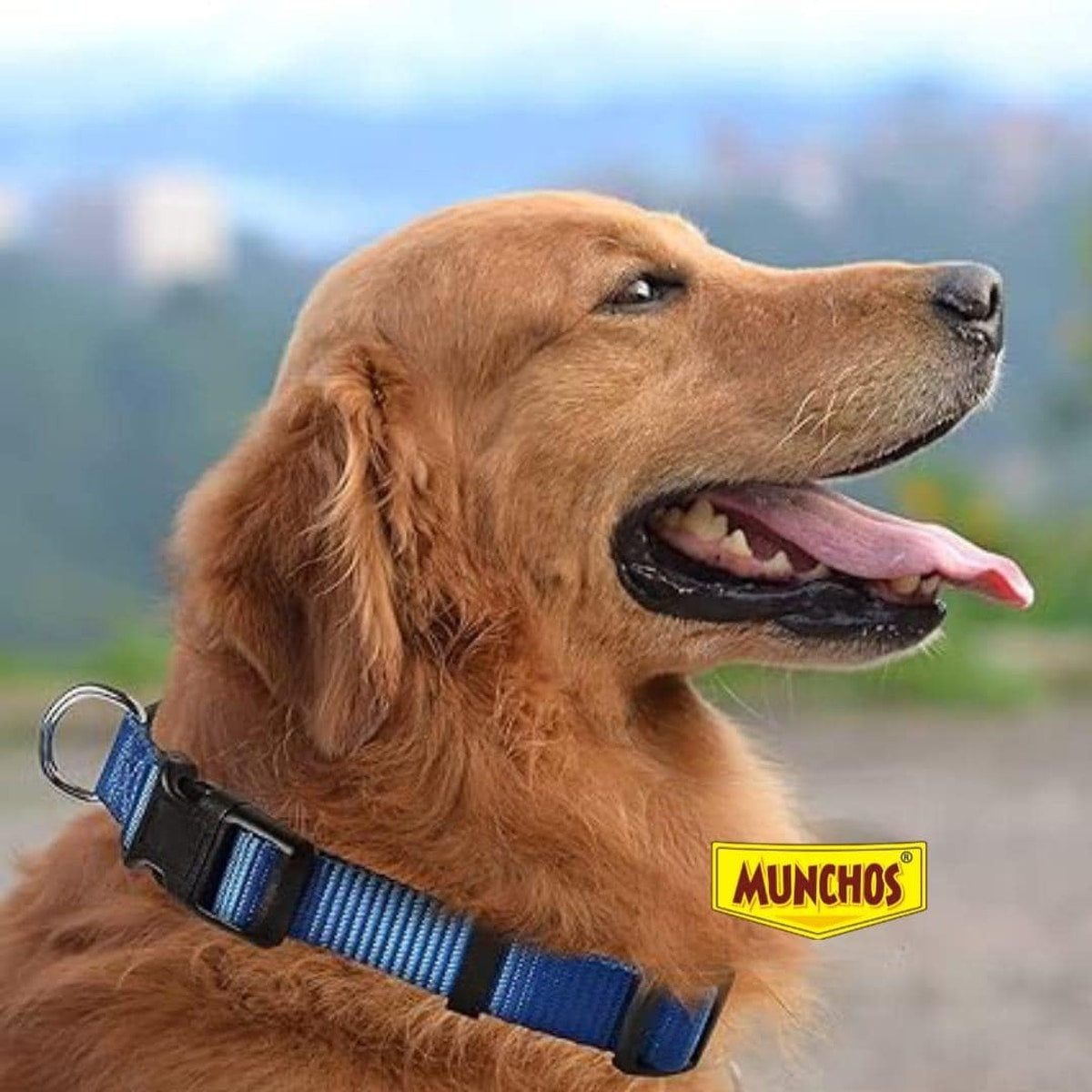 MUNCHOS Dog Nylon Clip Collar With Leash Set 1.25inch, Extra Large