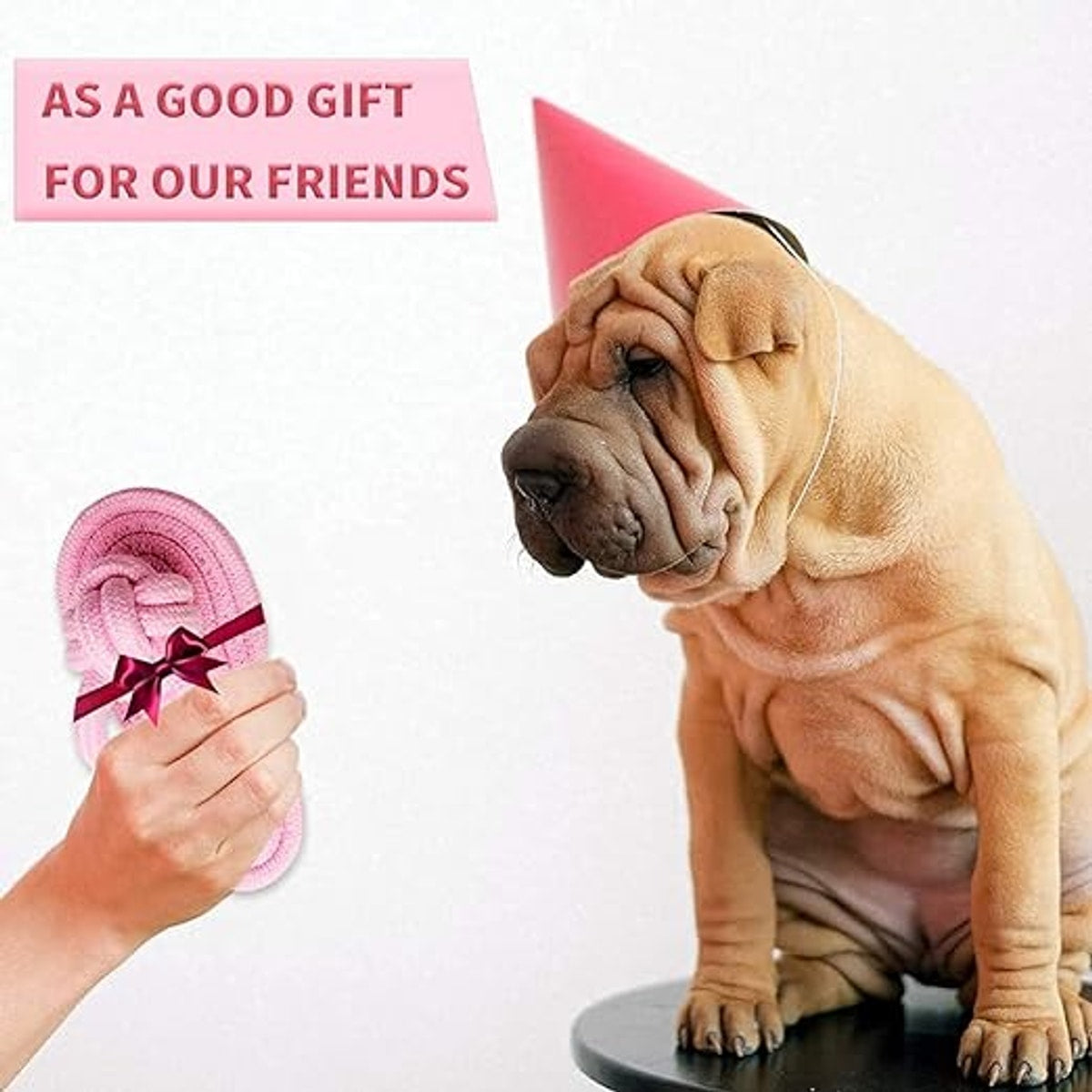 MUNCHOS Attractive Hard Slipper Shape Rope Dog Toy, Medium