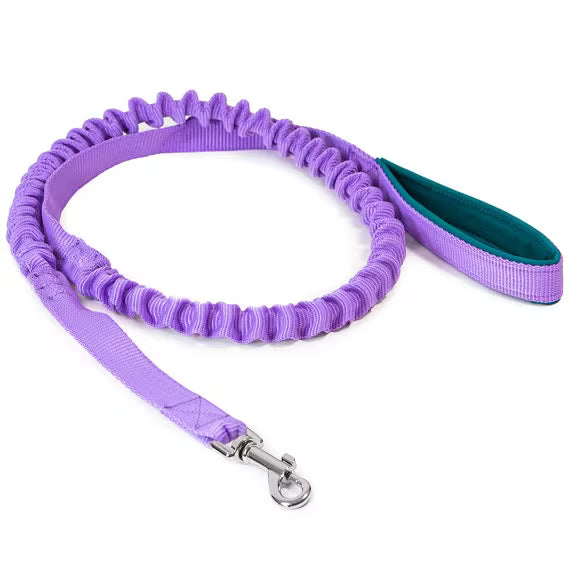 MUNCHOS Dog Heavy Elastic Adjustable Rope Large Dog