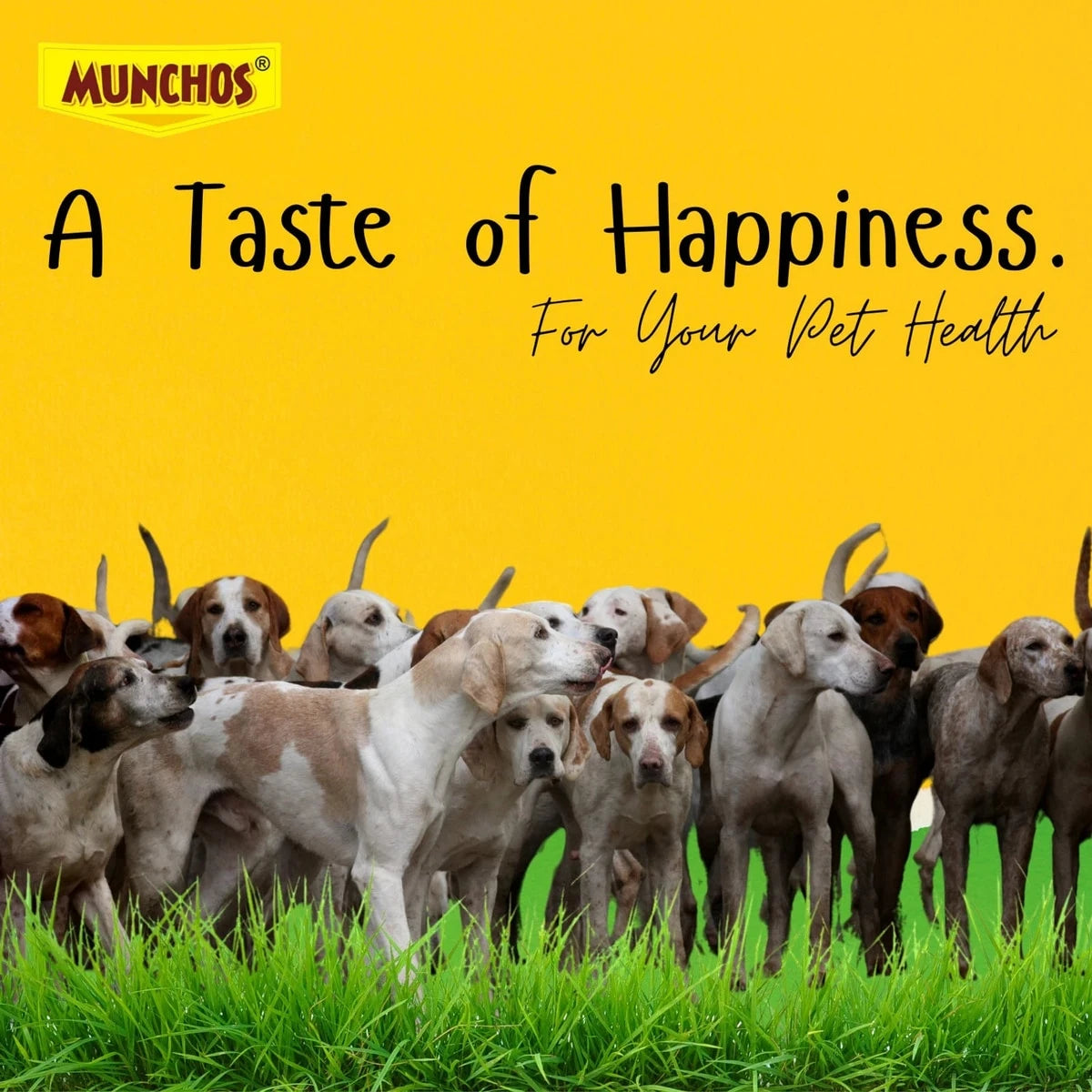 MUNCHOS Dog Puppy Real Vegetable Biscuits, Combo Offer 2Kg