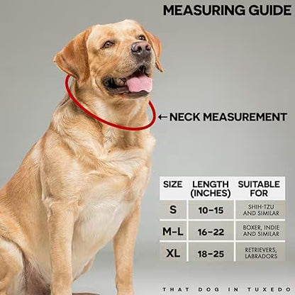 MUNCHOS High Quality Nylon Dog Collar 0.75inch, Small
