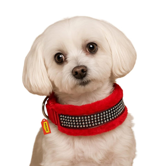 MUNCHOS Luxurious Soft Fur Dog Collar for Small Pets