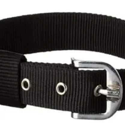 MUNCHOS Made With High Quality DOG Collar 1.25inch, Large