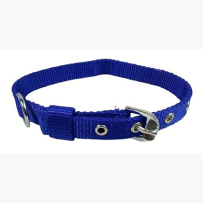 MUNCHOS Made With High Quality DOG Collar 1.25inch, Large
