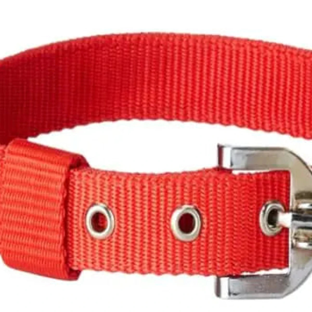 MUNCHOS Made With High Quality DOG Collar 1.5inch, Extra Breeds