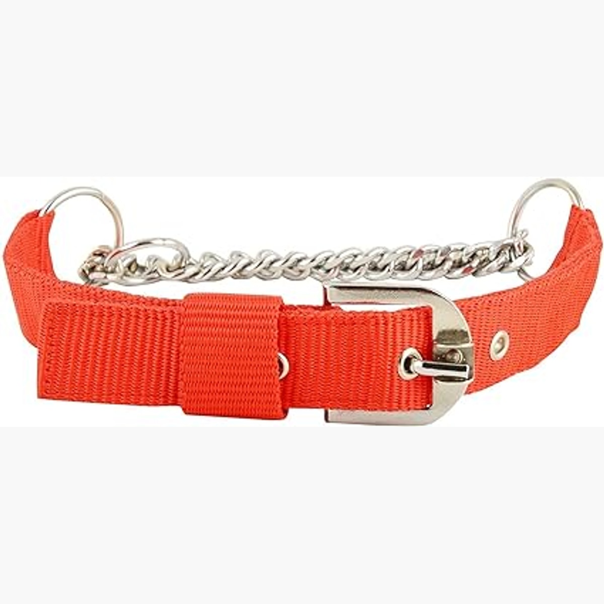 MUNCHOS Nylon Half Chain Dog Chock Collar