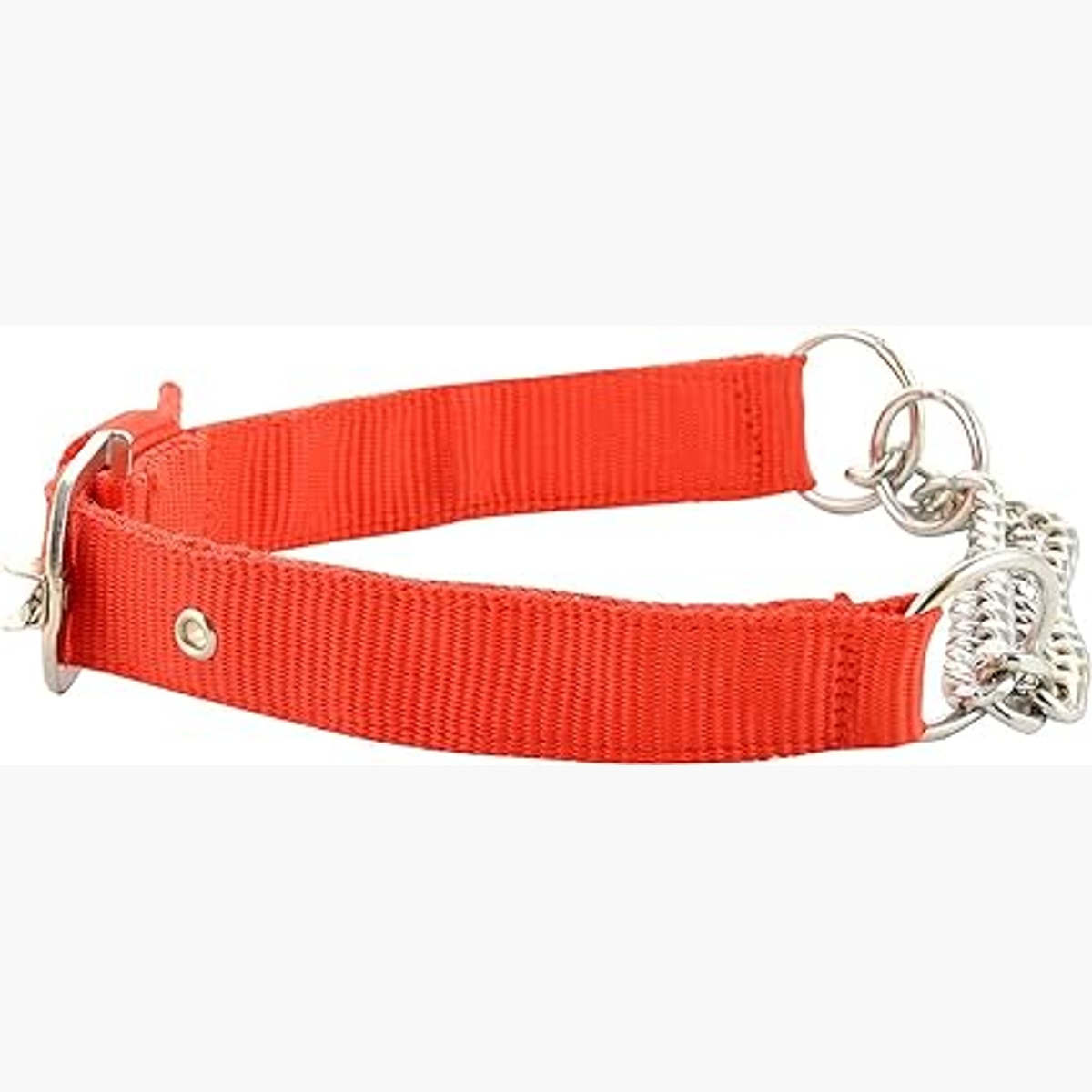MUNCHOS Nylon Half Chain Dog Chock Collar