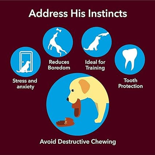 MUNCHOS Nylon Teether Hard Bone Dog Toy, Large
