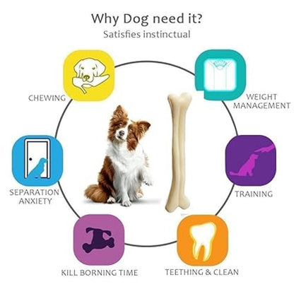 MUNCHOS Nylon Teether Hard Bone Dog Toy, Medium