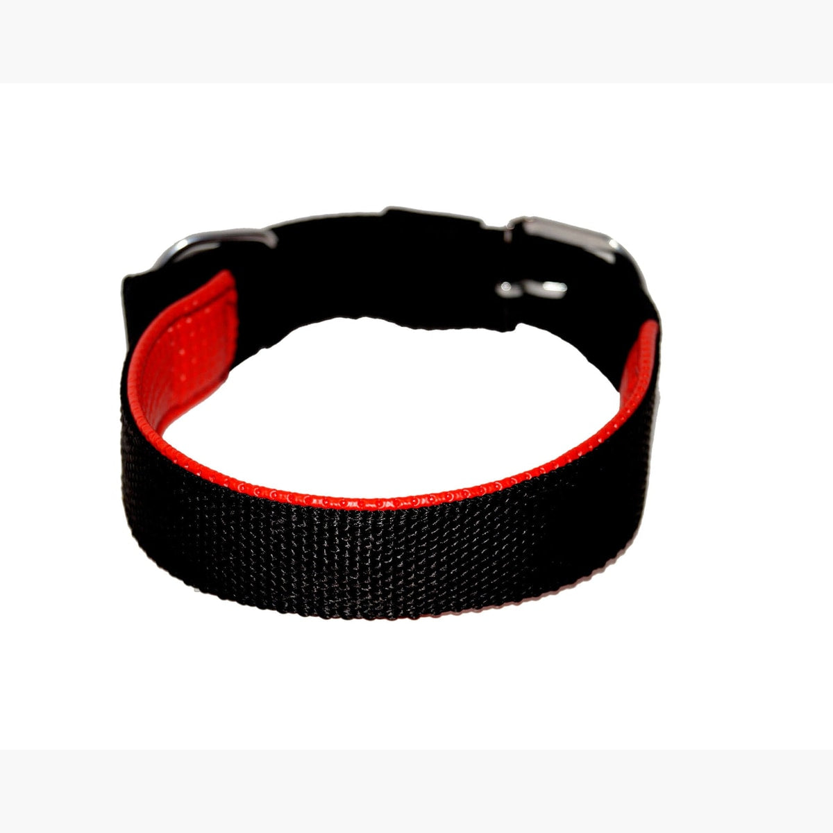 MUNCHOS Printed Padded Heavy Dog Collar 1.5inch, Large