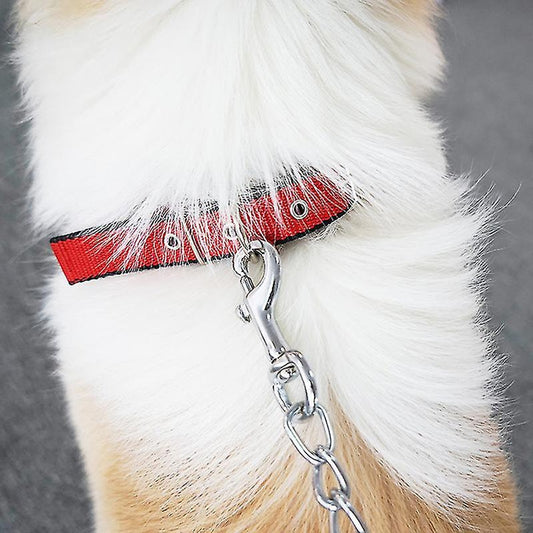 MUNCHOS Printed Padded Heavy Dog Collar 1.5inch, Large